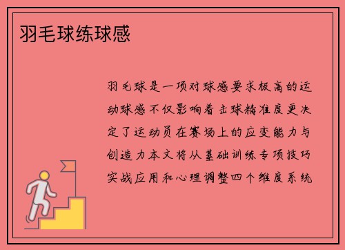 羽毛球练球感