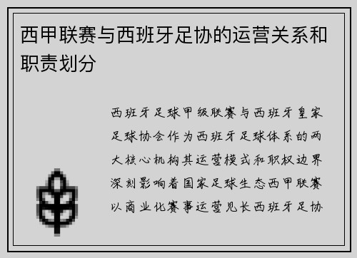 西甲联赛与西班牙足协的运营关系和职责划分